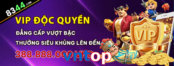vntop