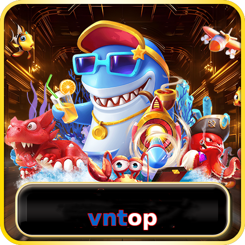 vntop
